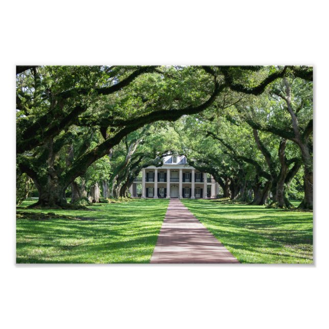 Oak Alley Plantation Photo Print (Front)