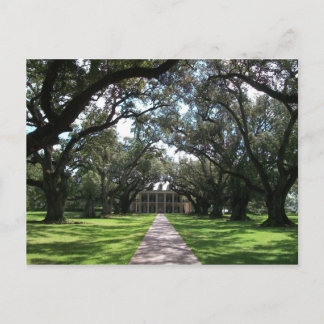 Oak Alley Plantation Postcard