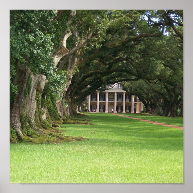 Oak Alley Plantation Poster (Front)
