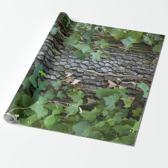 Oak and Ivy Wrapping Paper (Unrolled)