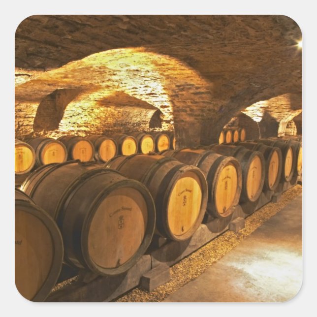 Oak barrles in the cellar at Domaine Comte Square Sticker (Front)
