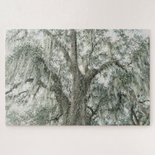 Oak Cathedral Live Oak Tree Jigsaw Puzzle