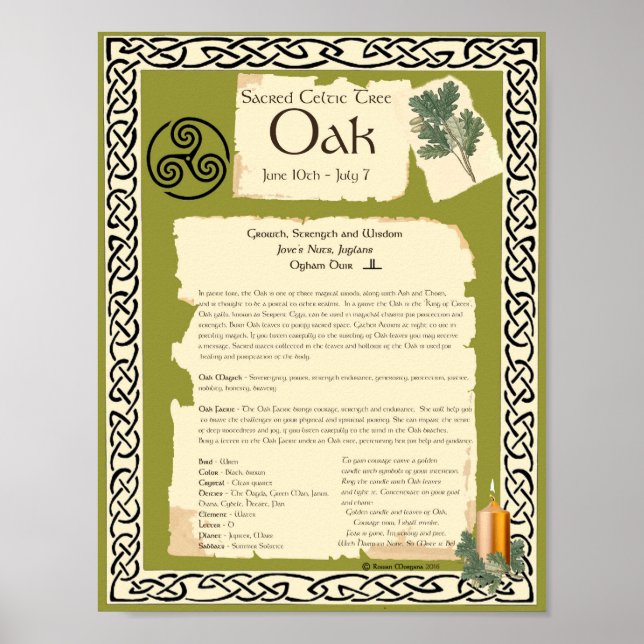 OAK CELTIC SACRED TREE POSTER (Front)