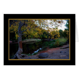 Oak Creek 246