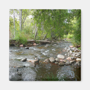 Oak Creek and Mallard Ducks Nature Photography Magnet