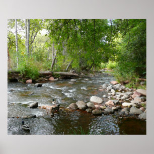 Oak Creek and Mallard Ducks Nature Photography Poster