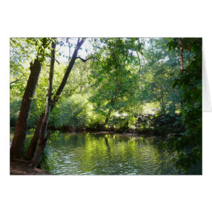 Oak Creek I in Sedona Arizona Nature Photography