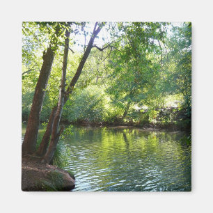 Oak Creek I in Sedona Arizona Nature Photography Magnet