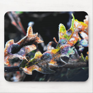 Oak Fairy Frosting Mouse Mat