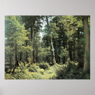 Oak Forest | Landscape Oil Painting Poster