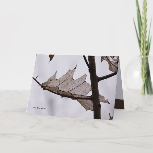 Oak Ghost Leaf Card (Front)