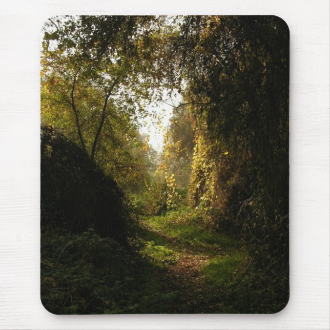 Oak Grove Morning Light Mouse Mat (Front)