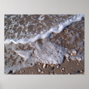 Oak Island, North Carolina - sand and shells Poster