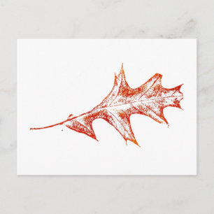 "Oak Leaf in Red" Country Roads Postcard