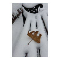 oak leaf on new snow
