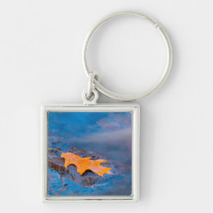 Oak leaf on rock in Rosseau River Key Ring