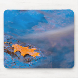 Oak leaf on rock in Rosseau River Mouse Mat