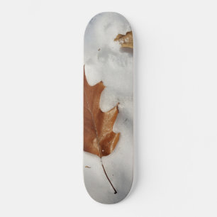 oak leaf on the snow skateboard