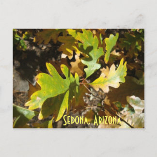 oak leaf, Sedona, Arizona Postcard