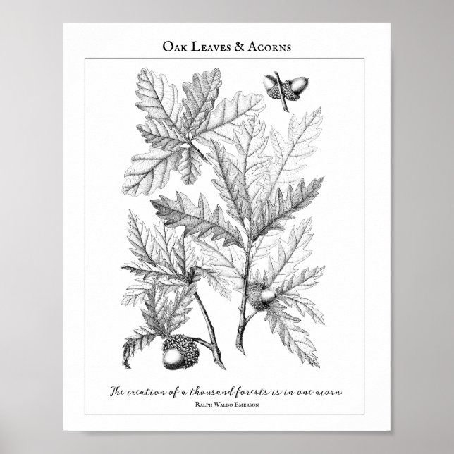 Oak Leaves and Acorns Customisable Quote Poster (Front)
