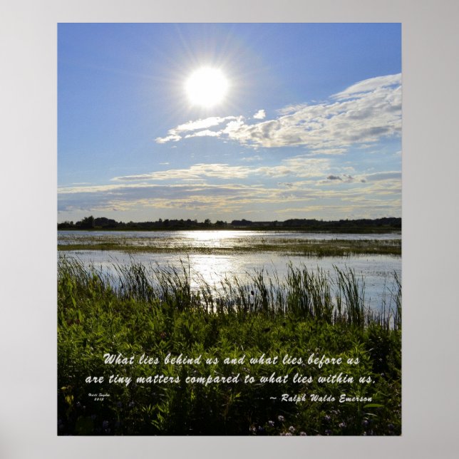 Oak Orchard Swamp Poster (Front)