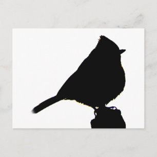 Oak Titmouse black & white Postcard