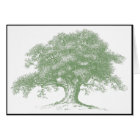 Oak Tree