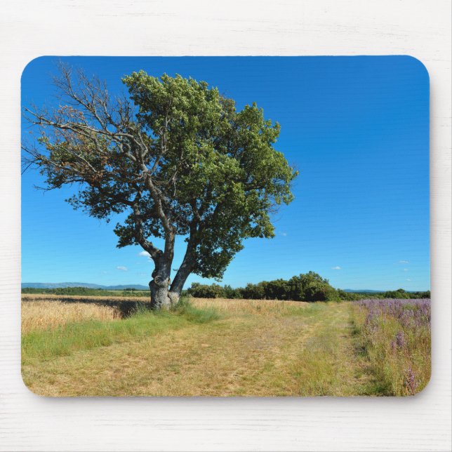Oak tree and agriculture in France Mouse Mat (Front)