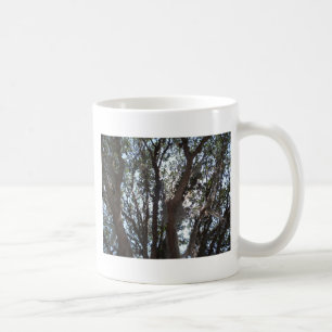 oak tree blue sky and moss coffee mug