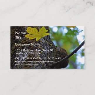 Oak Tree Business Card