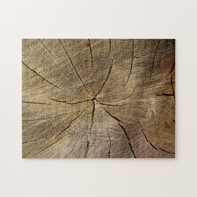 Oak Tree Cross Section Photo Puzzle with Gift Box (Horizontal)