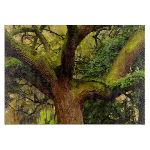Oak tree cutting board