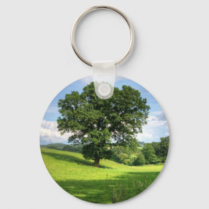 Oak tree green summer beautiful scenery key ring