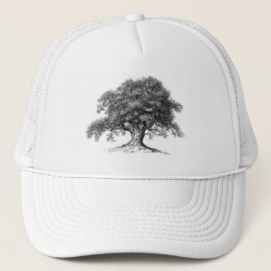 Oak tree hat