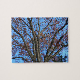 Oak Tree in a Blue Autumn Sky - Jigsaw Puzzle
