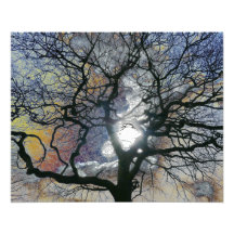 Oak tree in early Spring, coloured sky edit