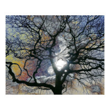 Oak tree in early Spring, coloured sky edit