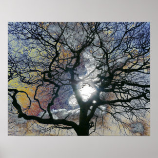 Oak tree in early Spring, coloured sky edit Poster