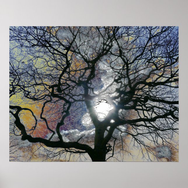 Oak tree in early Spring, coloured sky edit Poster (Front)