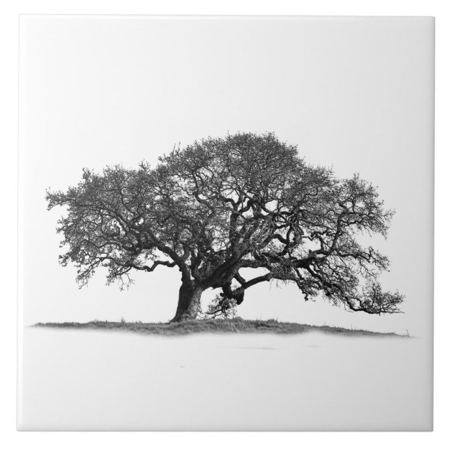 OAK TREE IN SILHOUETTE  TILE (Front)
