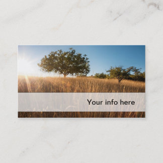 Oak tree in sunny golden meadow business card