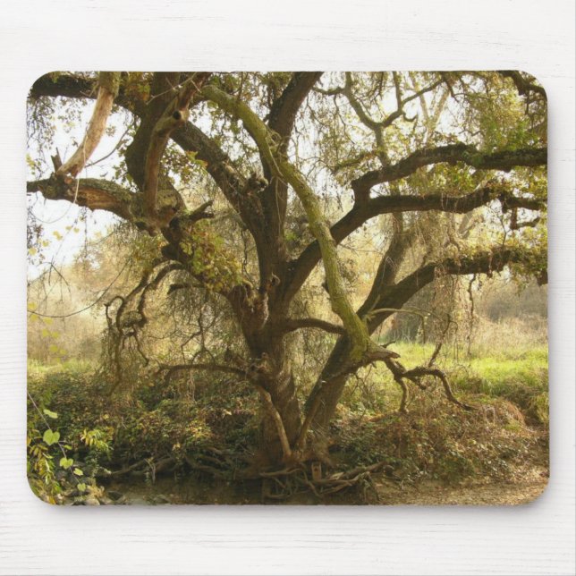 Oak Tree Mouse Mat (Front)