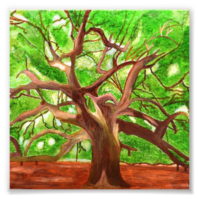 Oak Tree Photo Print (Front)