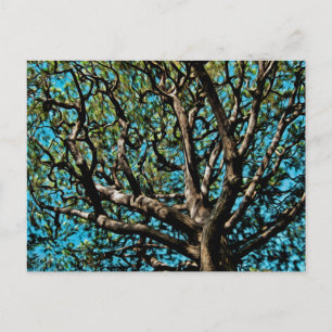 Oak Tree Postcard