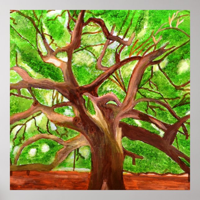 Oak Tree Poster (Front)