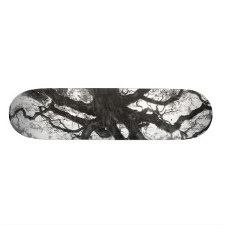 Oak Tree Skateboard