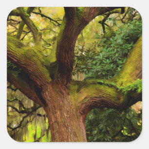 Oak tree square sticker