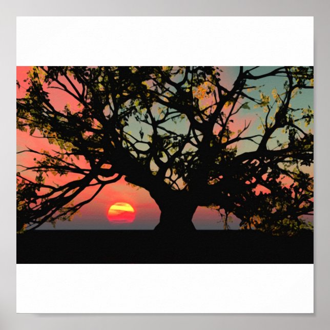 Oak Tree Sunset Poster (Front)
