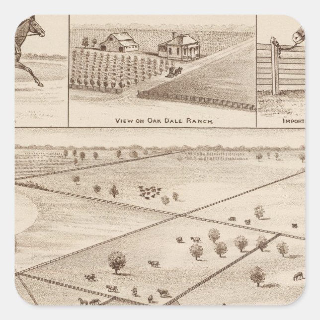 Oakdale Ranch Square Sticker (Front)