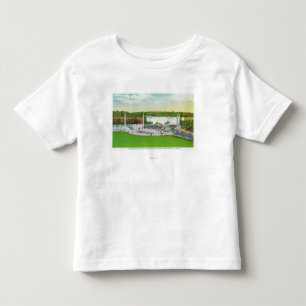 Oakes Garden Theatre View of American Falls Toddler T-Shirt